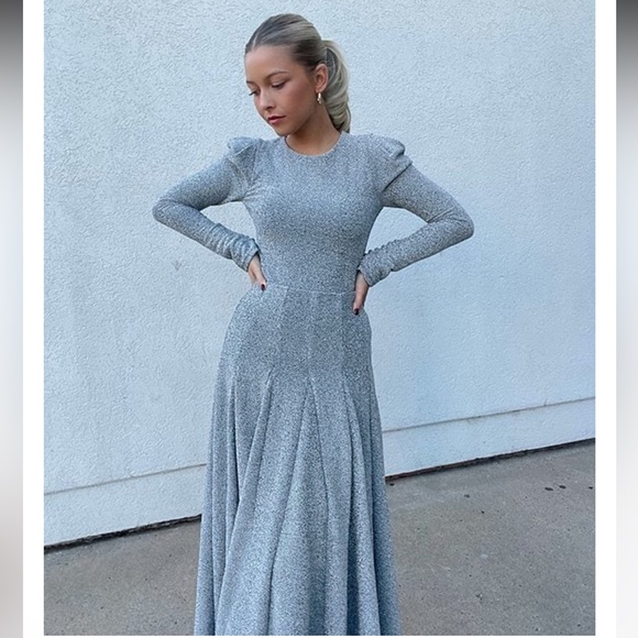 NWT Antonio Melani
x Born on Fifth Celine Metallic Midi Skirt - Picture 5 of 16